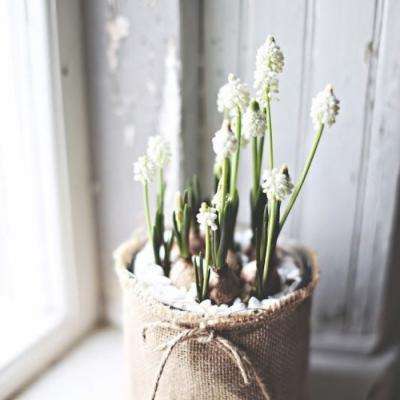 B体育旧版本官网下载苹果